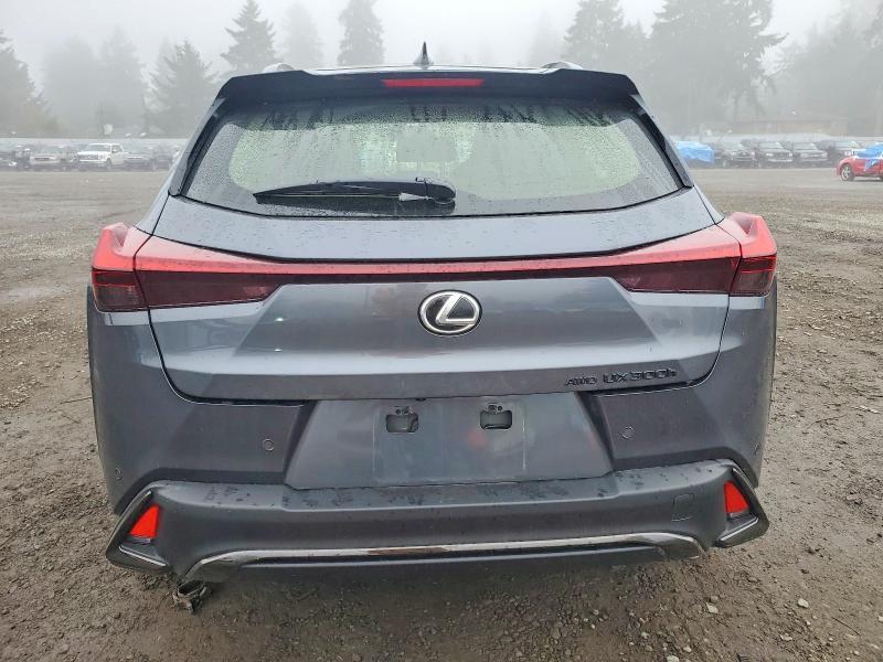 2025 Lexus Ux 300h f Sport Design