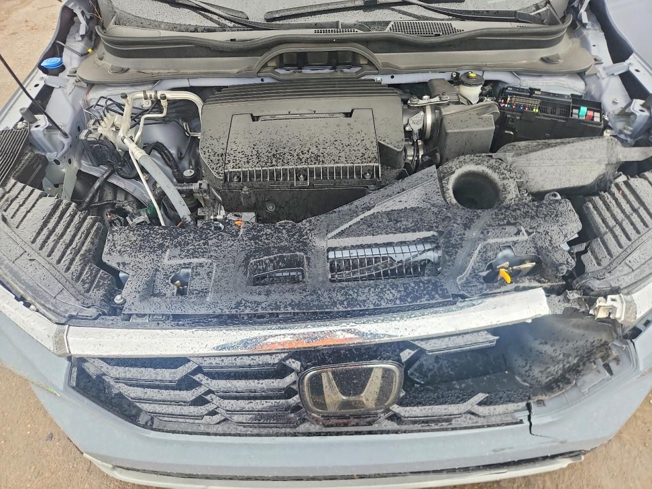 2024 Honda Pilot Touring