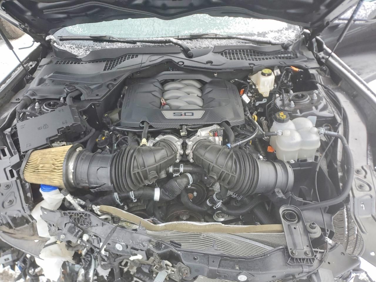 2024 Ford Mustang gt