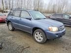 2006 Toyota Highlander Hybrid