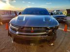 2024 Dodge Hornet gt Plus