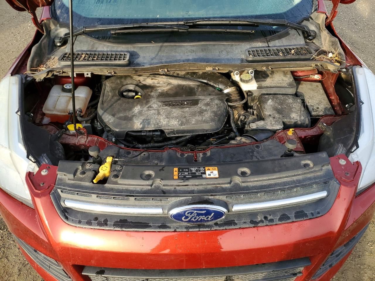 2014 Ford Escape se