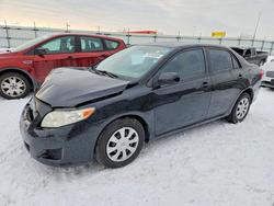 Toyota salvage cars for sale: 2010 Toyota Corolla Base