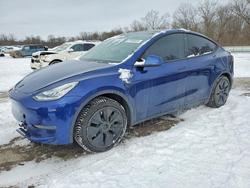 Tesla salvage cars for sale: 2021 Tesla Model y