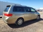 2010 Honda Odyssey exl