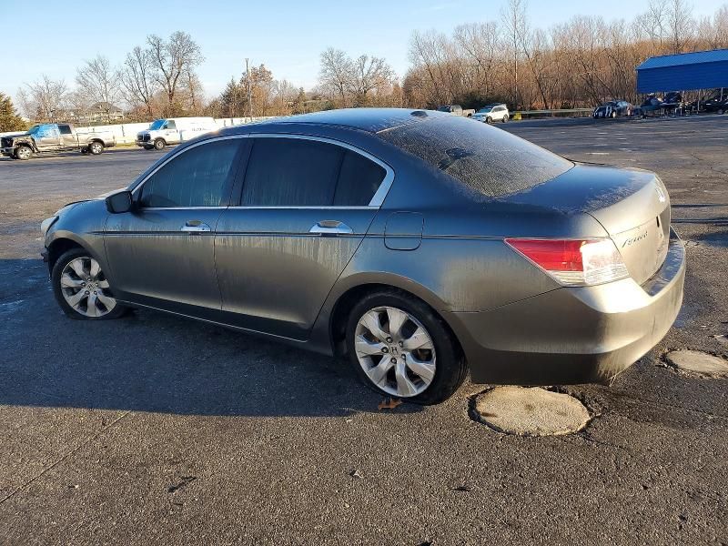 2010 Honda Accord exl