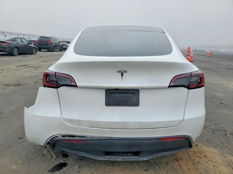 2025 Tesla Model y