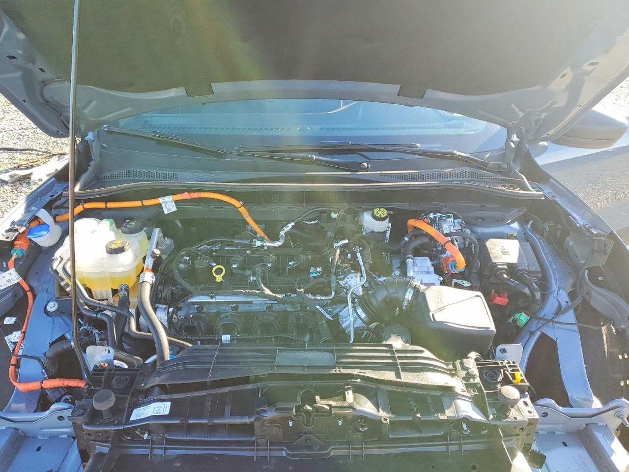 2025 Ford Escape st Line