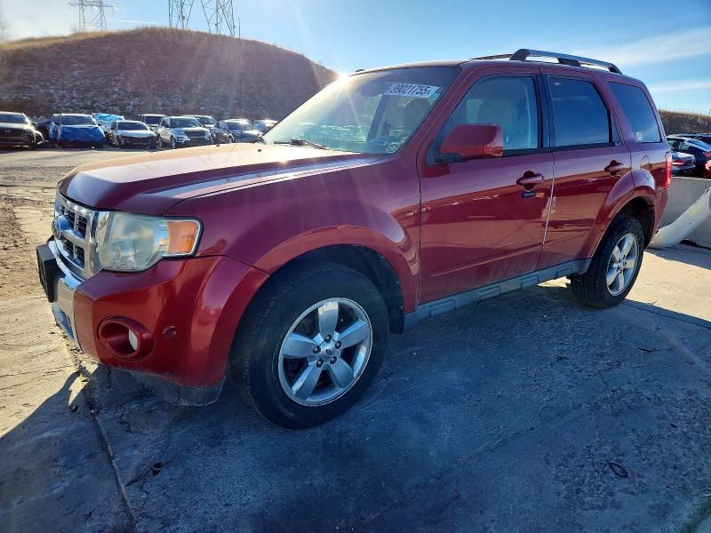 2010 Ford Escape Limited