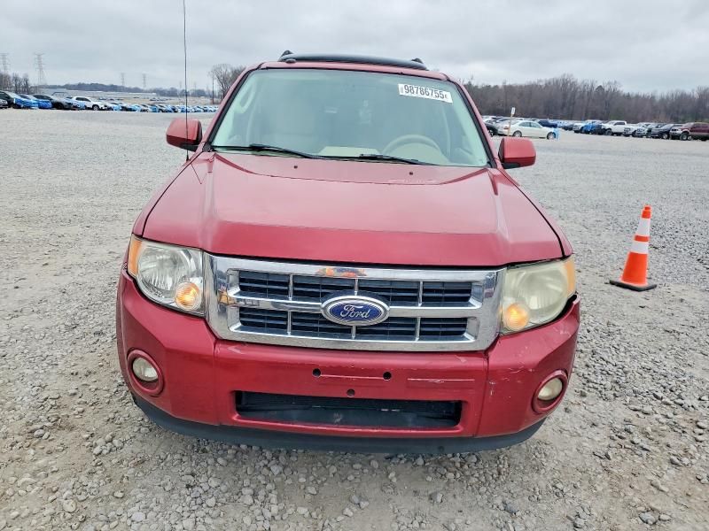 2010 Ford Escape Limited