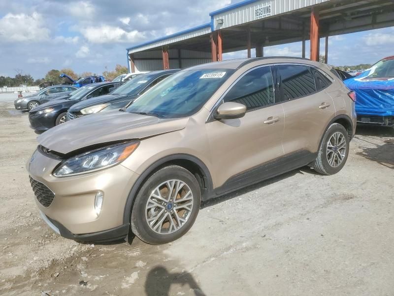 2020 Ford Escape sel