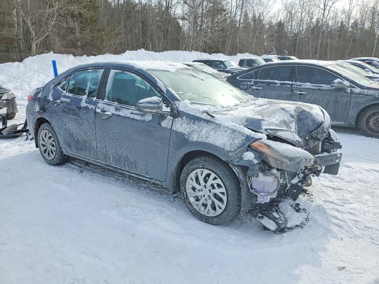 2019 Toyota Corolla l