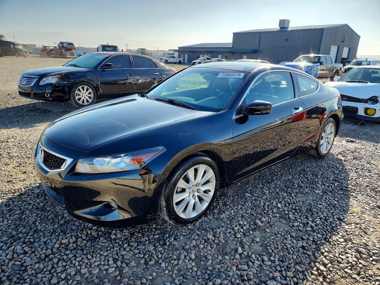 2010 Honda Accord exl