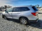 2019 Honda Pilot exl