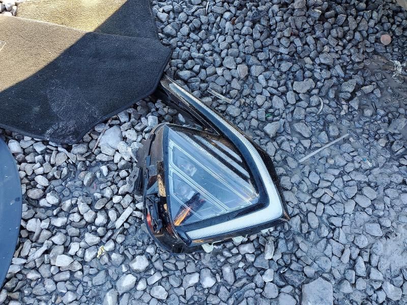 2024 KIA Sportage X-pro