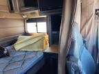 2019 Peterbilt 389 Semi Truck