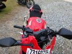 2025 Honda CBR500 RA