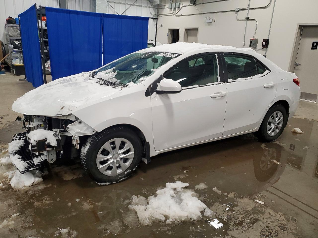 2019 Toyota Corolla l