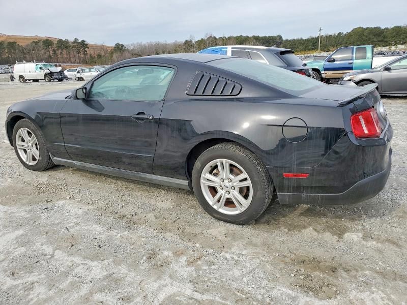 2010 Ford Mustang