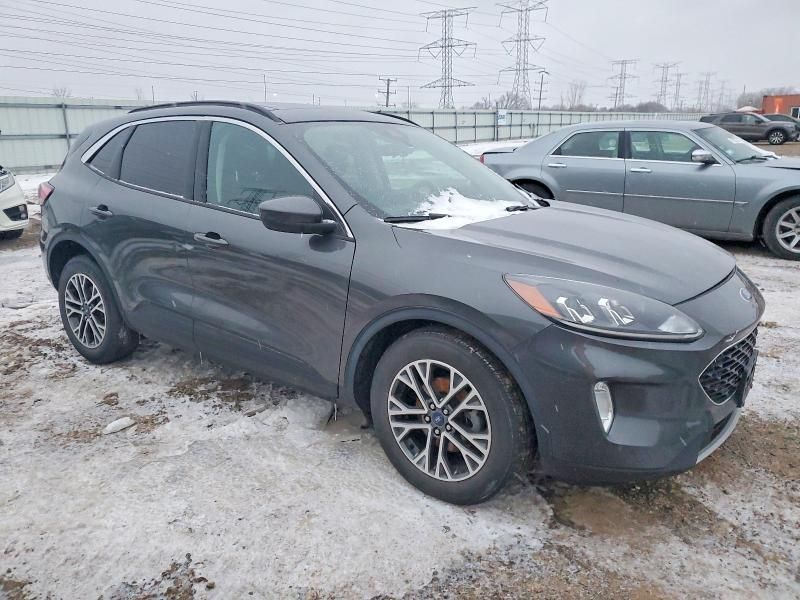 2020 Ford Escape sel