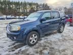2011 Honda Pilot ex