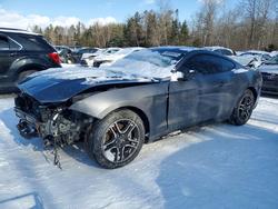 2022 Ford Mustang for sale in Cookstown, ON
