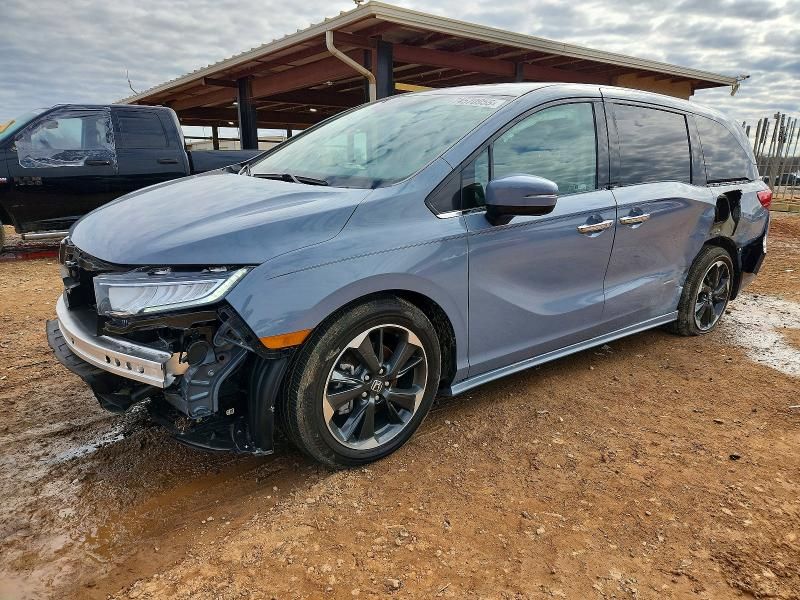 2024 Honda Odyssey Elite