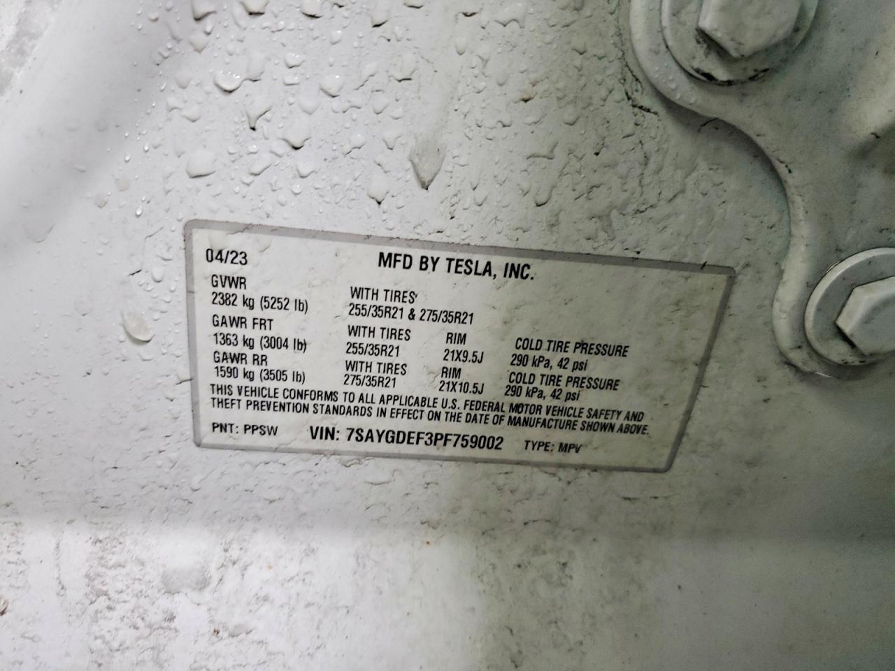 2023 Tesla Model y