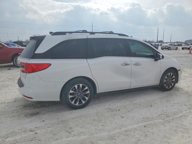 2024 Honda Odyssey exl
