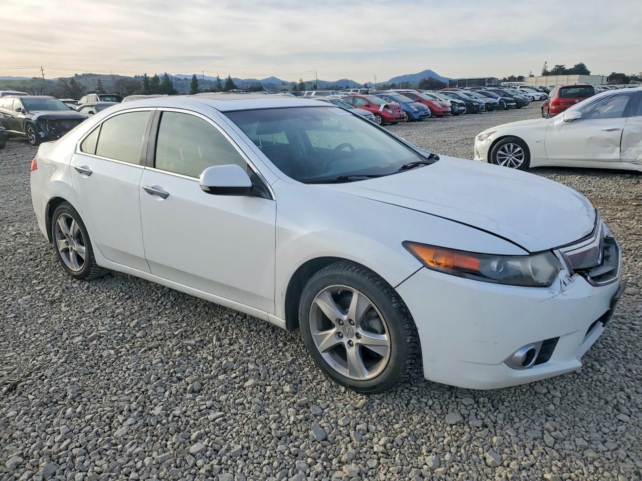 2013 Acura Tsx Tech