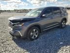 2024 Honda Pilot exl