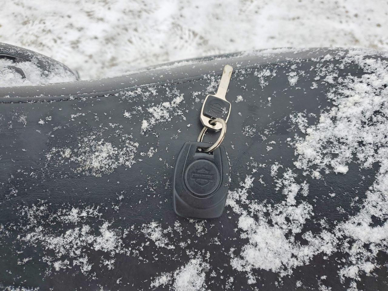 2024 Harley-Davidson RH975 S