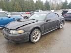 2001 Ford Mustang gt