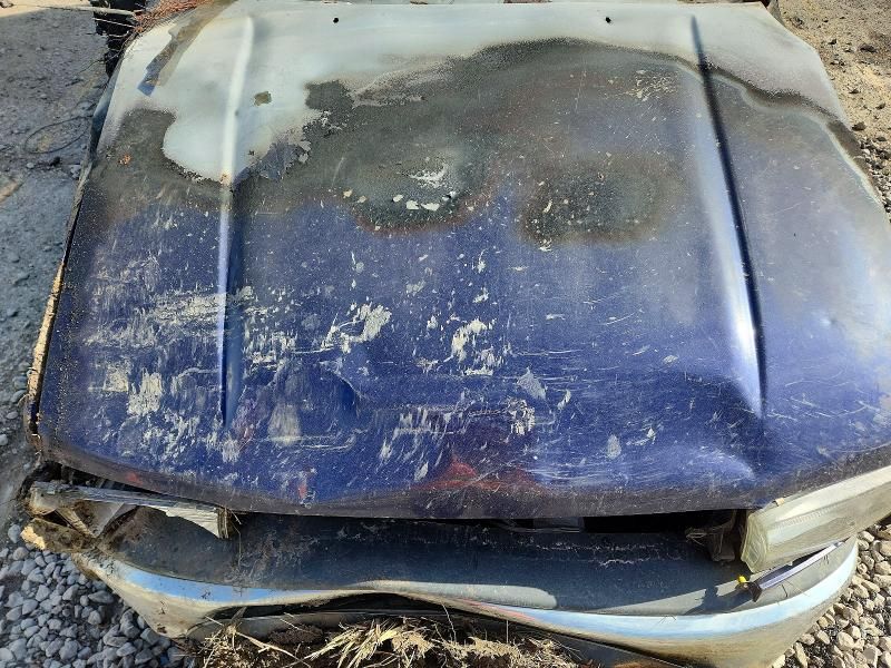 1999 Toyota 4runner SR5