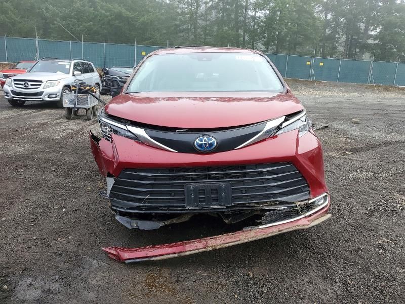 2024 Toyota Sienna xle