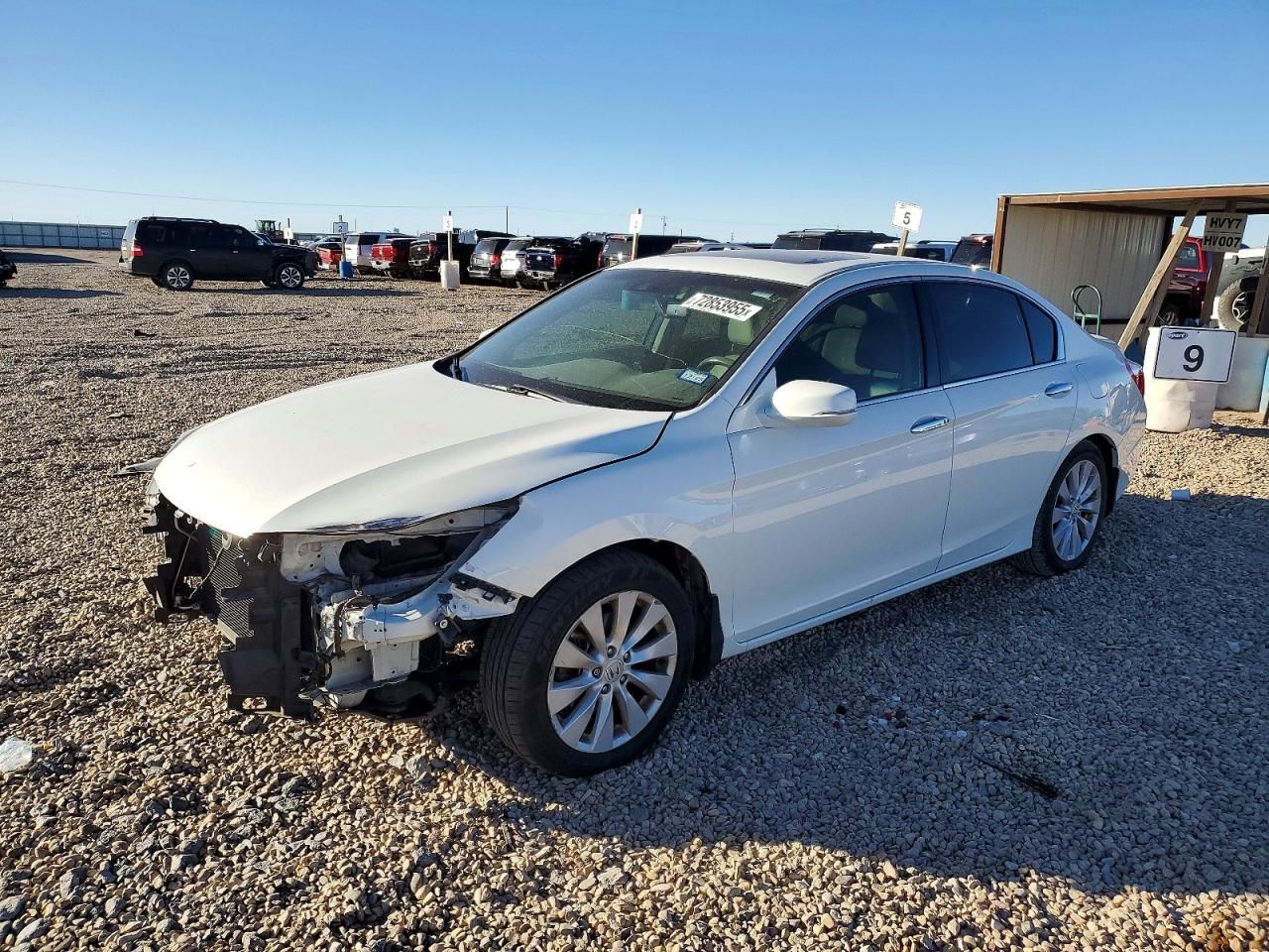 2013 Honda Accord exl