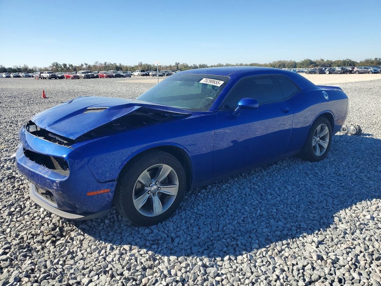 2019 Dodge Challenger sxt