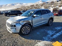 Hyundai salvage cars for sale: 2023 Hyundai Santa fe sel Premium
