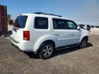 2011 Honda Pilot exl