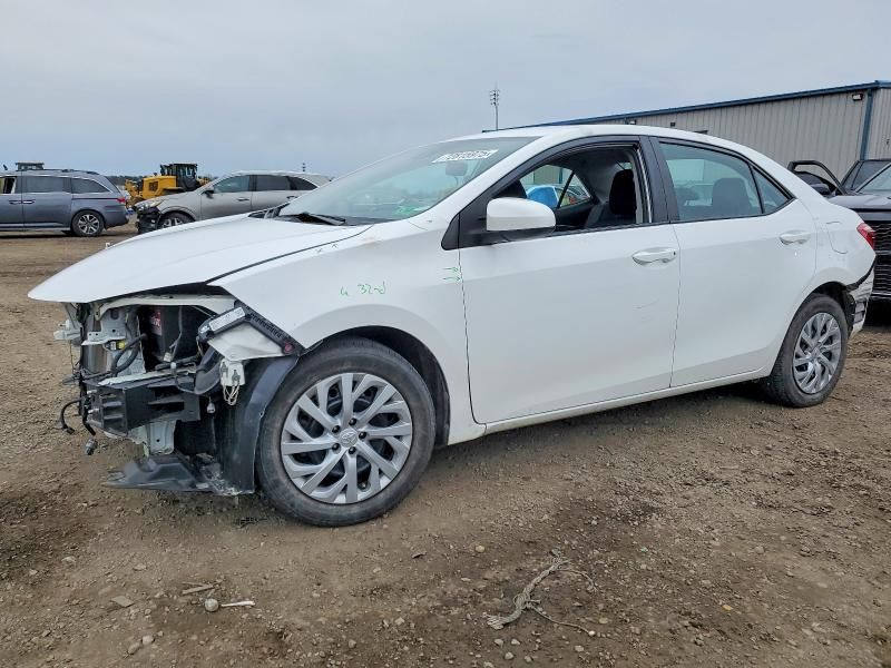 2019 Toyota Corolla l