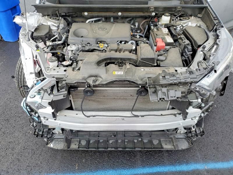 2024 Toyota Rav4 xle Premium