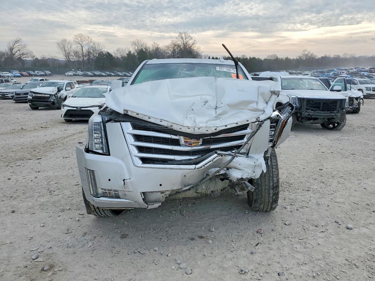 2017 Cadillac Escalade esv Luxury