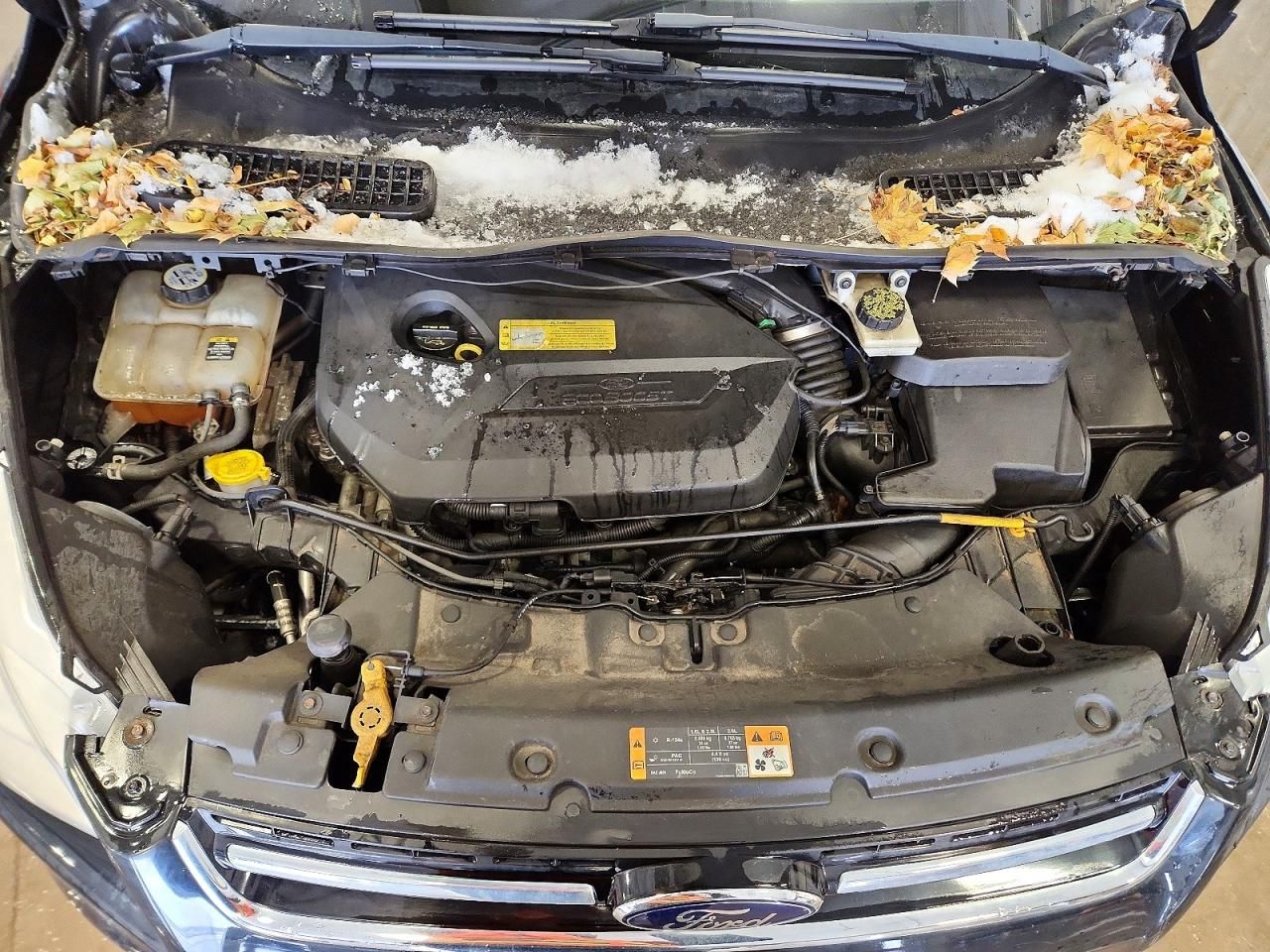 2013 Ford Escape sel