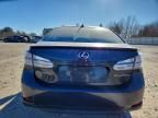 2010 Lexus Hs 250h