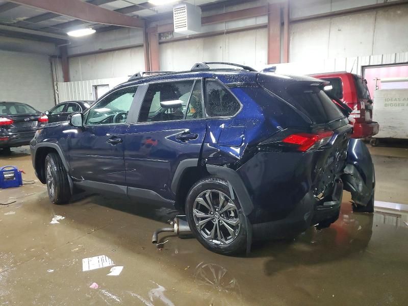 2025 Toyota Rav4 xle Premium