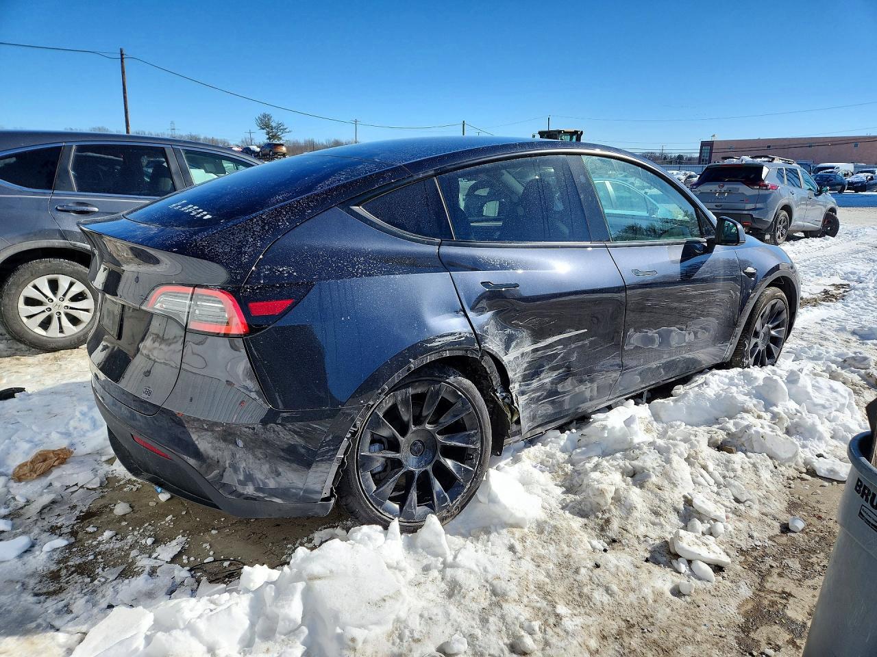 2025 Tesla Model y