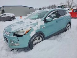 2013 Ford Escape se for sale in Wayland, MI