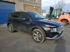 2023 Hyundai Santa fe sel Premium