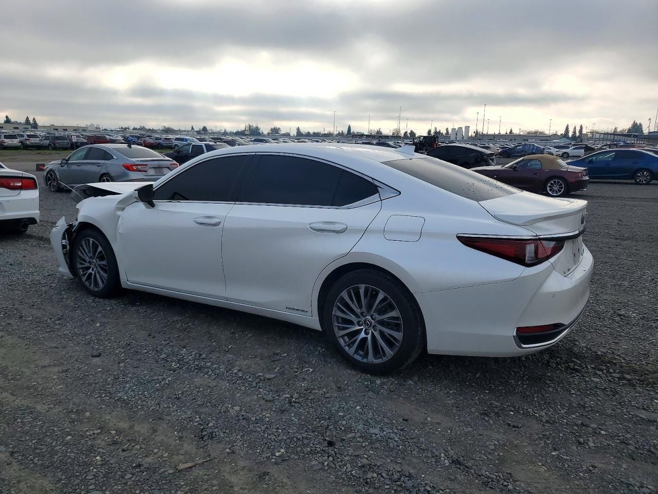 2019 Lexus Es 300h