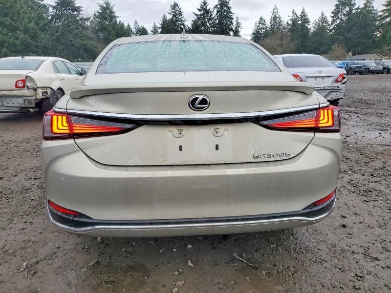 2025 Lexus Es 300h Base